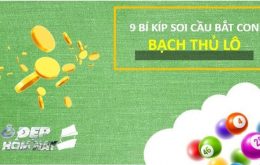 Bạch thủ lô Miền Bắc là gì? Cách soi cầu bắt con lô bạch thủ duy nhất